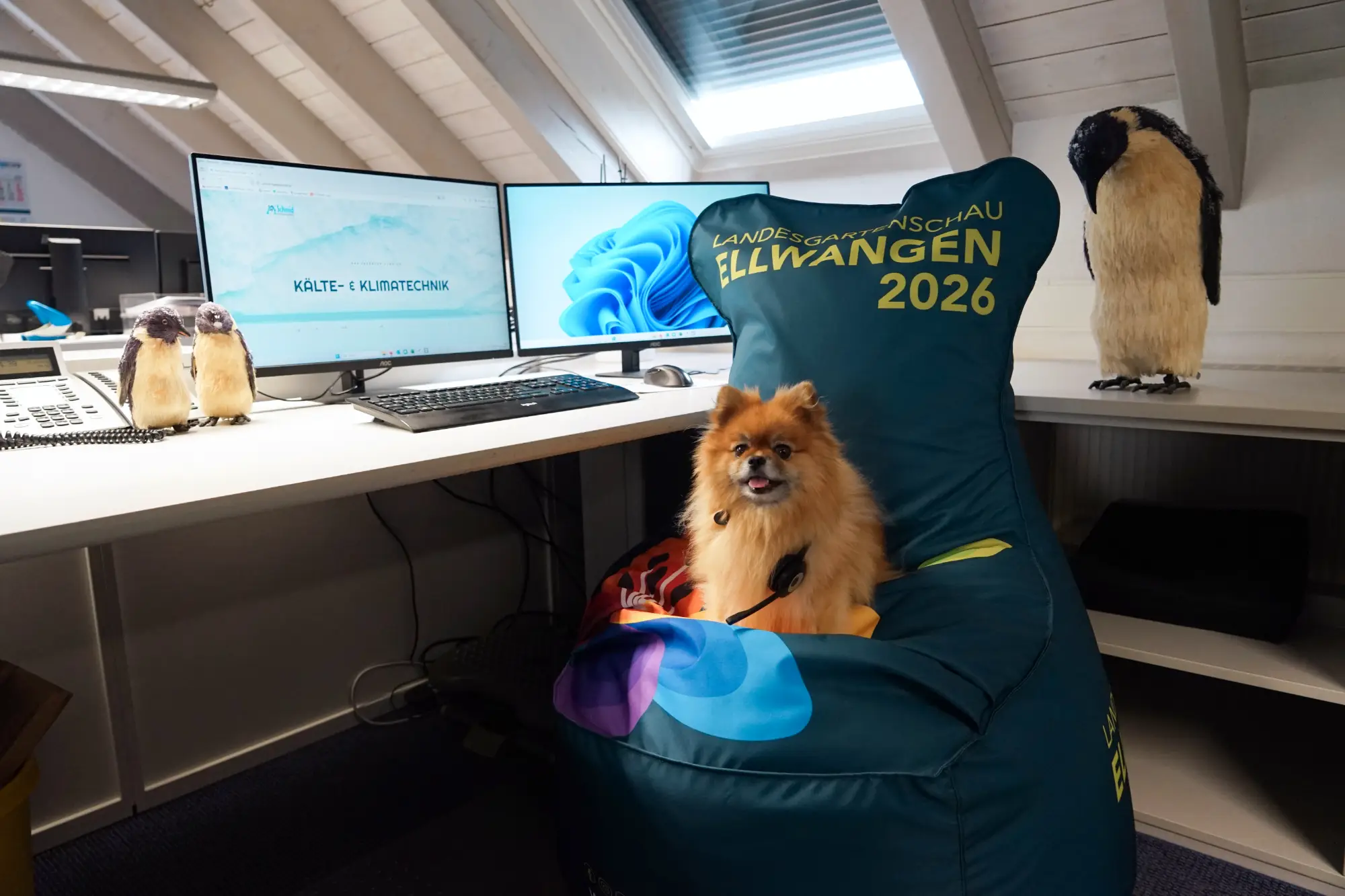 Vorfreude auf die Landesgartenschau 2026 in Ellwangen